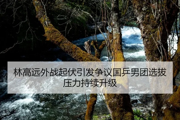 林高远外战起伏引发争议国乒男团选拔压力持续升级