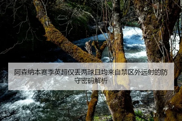 阿森纳本赛季英超仅丢两球且均来自禁区外远射的防守密码解析